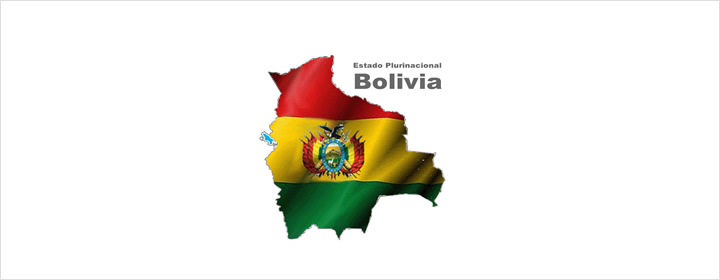 La construcción del horizonte plurinacional: liberalismo, indianismo y nacional-popular en la construcción del Estado boliviano (Dr. Clayton Cunha Filho)